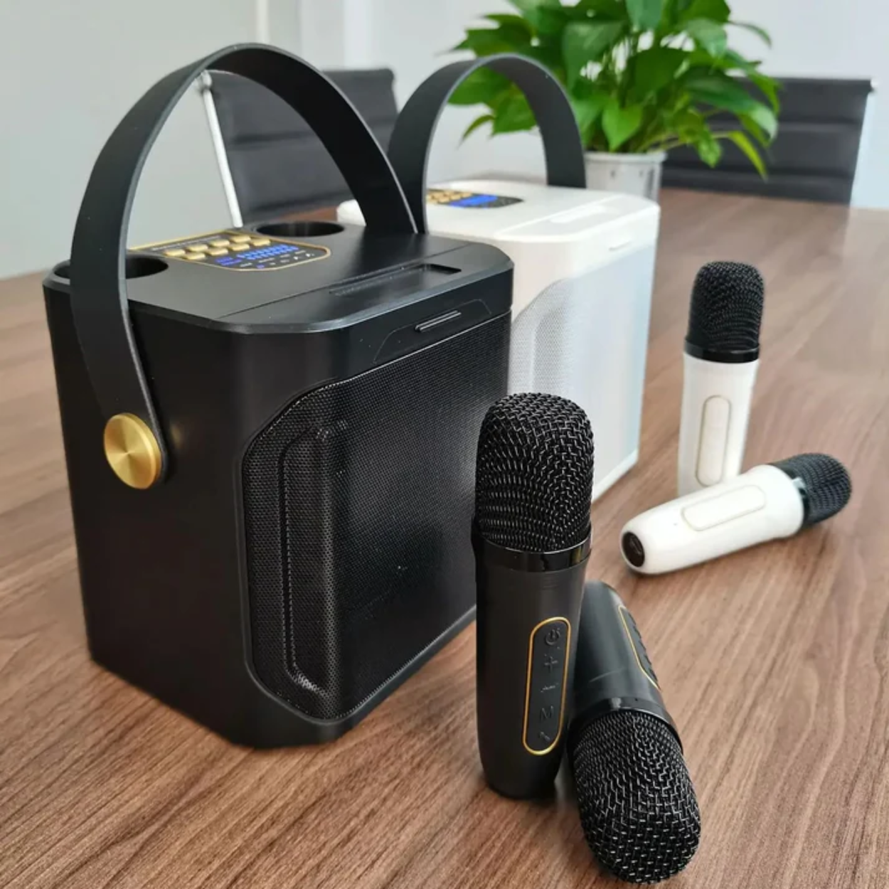 Powerful Portable Bluetooth Speaker with Karaoke Function
