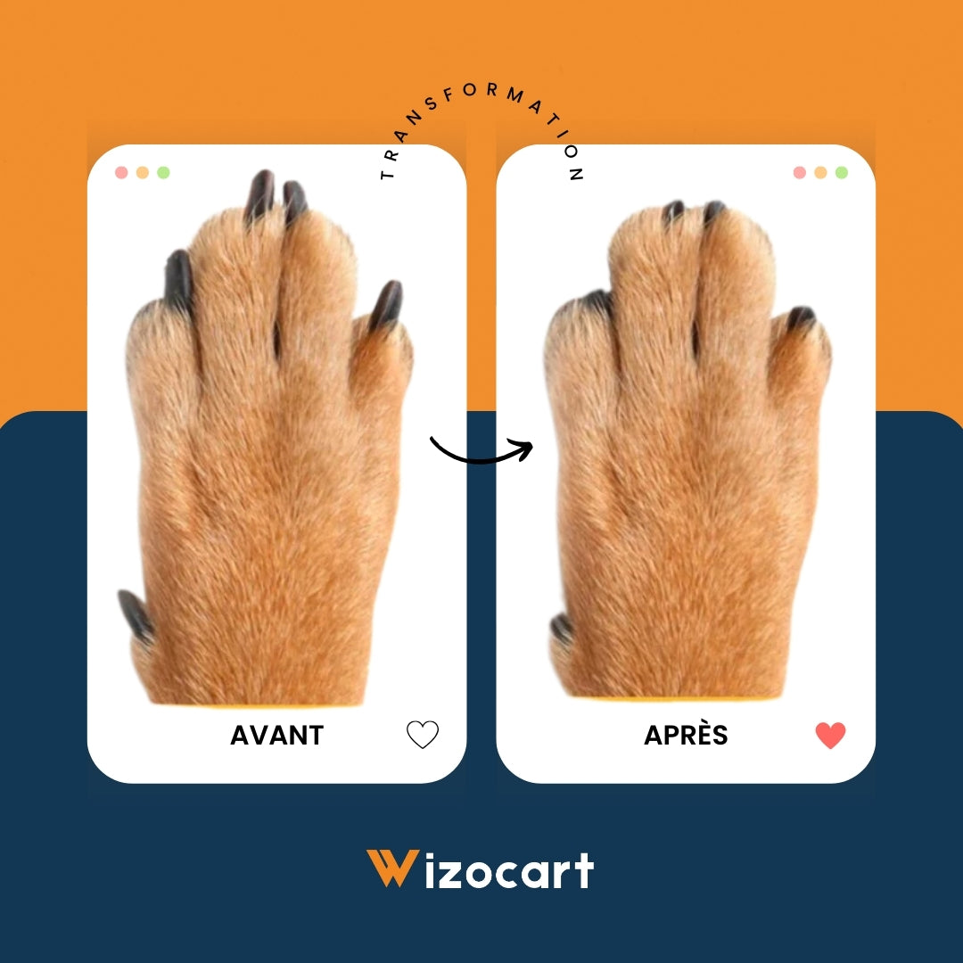 Practical 2-in-1 Nail Clipper for Dogs and Cats