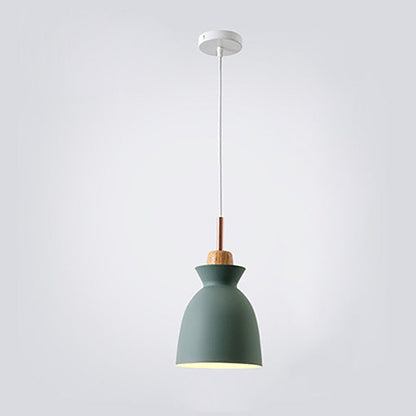 Elegant Hanging Kitchen Light