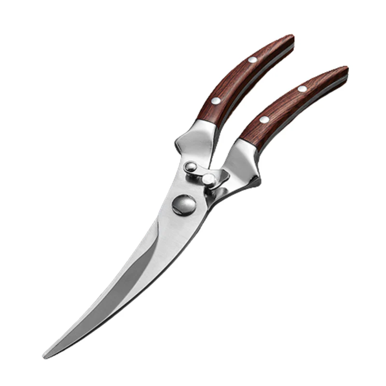 Sharp and Durable Stainless Steel Kitchen Scissors