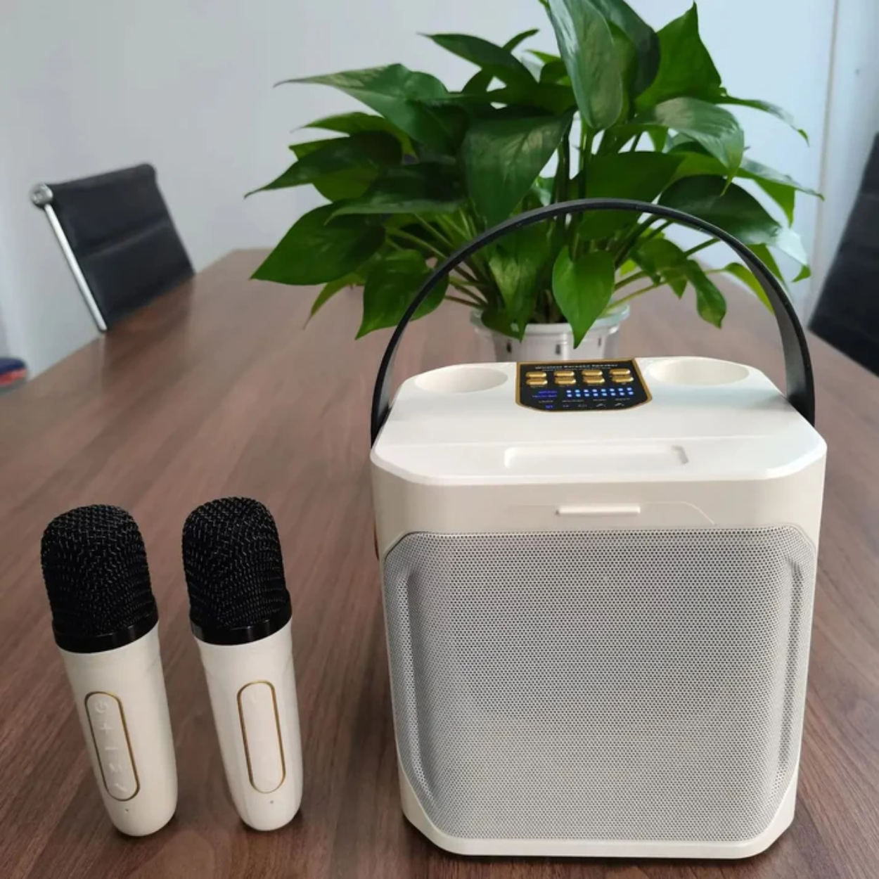 Powerful Portable Bluetooth Speaker with Karaoke Function