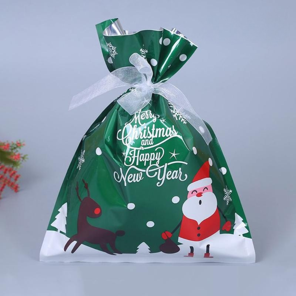 Reusable Gift Bag Christmas Ecological