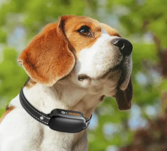 Marcherelle™ – Collier Electrique de Dressage Contrôle Précis Jusqu’à 1000 m
