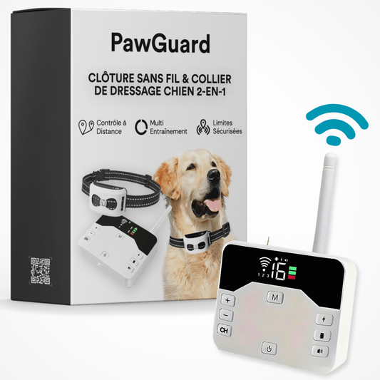 Marcherelle™ – Collier Electrique de Dressage pour Chien avec Zone de Sécurité Réglable