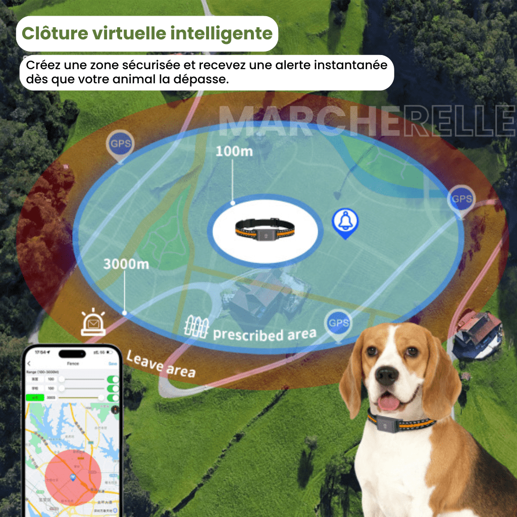 Marcherelle™ – Collier GPS Chien Sans Abonnement Suivi Précis & Illimité