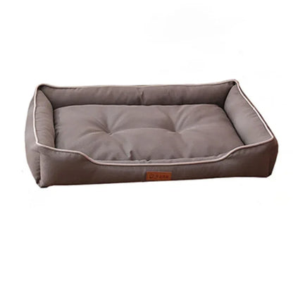 Sturdy Sofa | Scratch-Resistant Bed