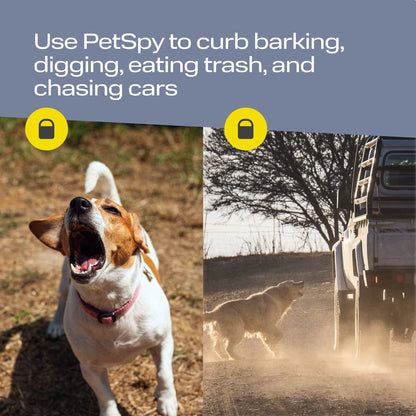 Powerful Ultrasonic Dog Repellent with Extended Range